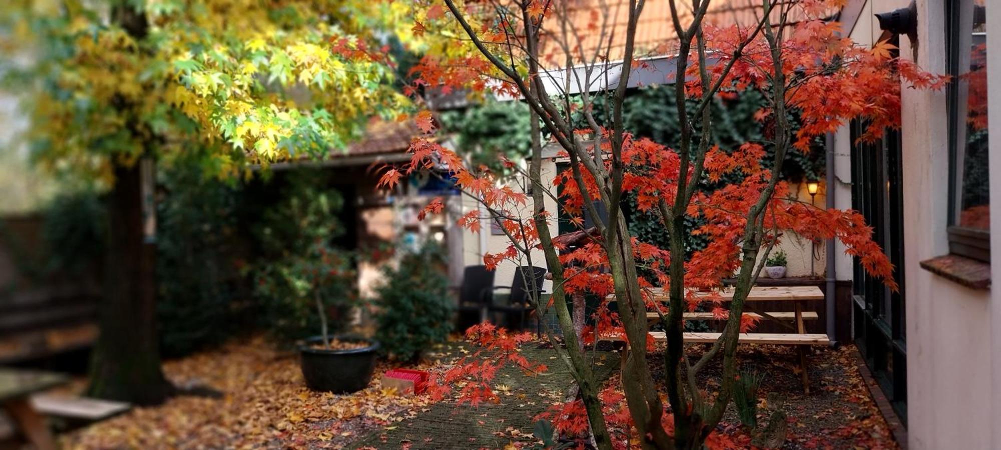 Familiehuis Amber ハークスベルヘン エクステリア 写真